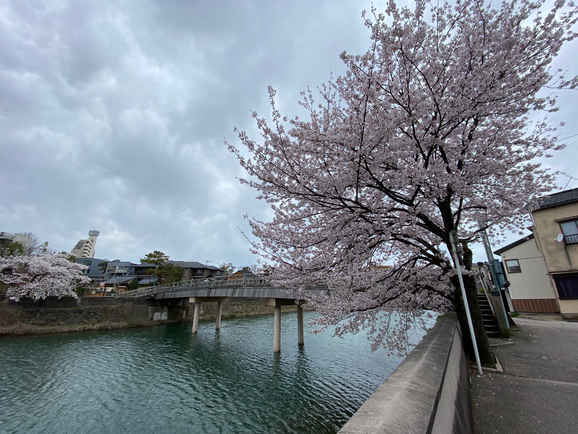 738/1095 ＊あれもこれも（4月4日）