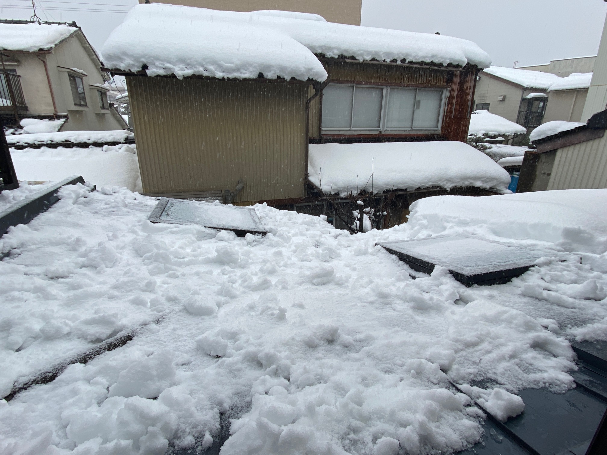 668/1095 ＊雪かき三昧（1月24日）