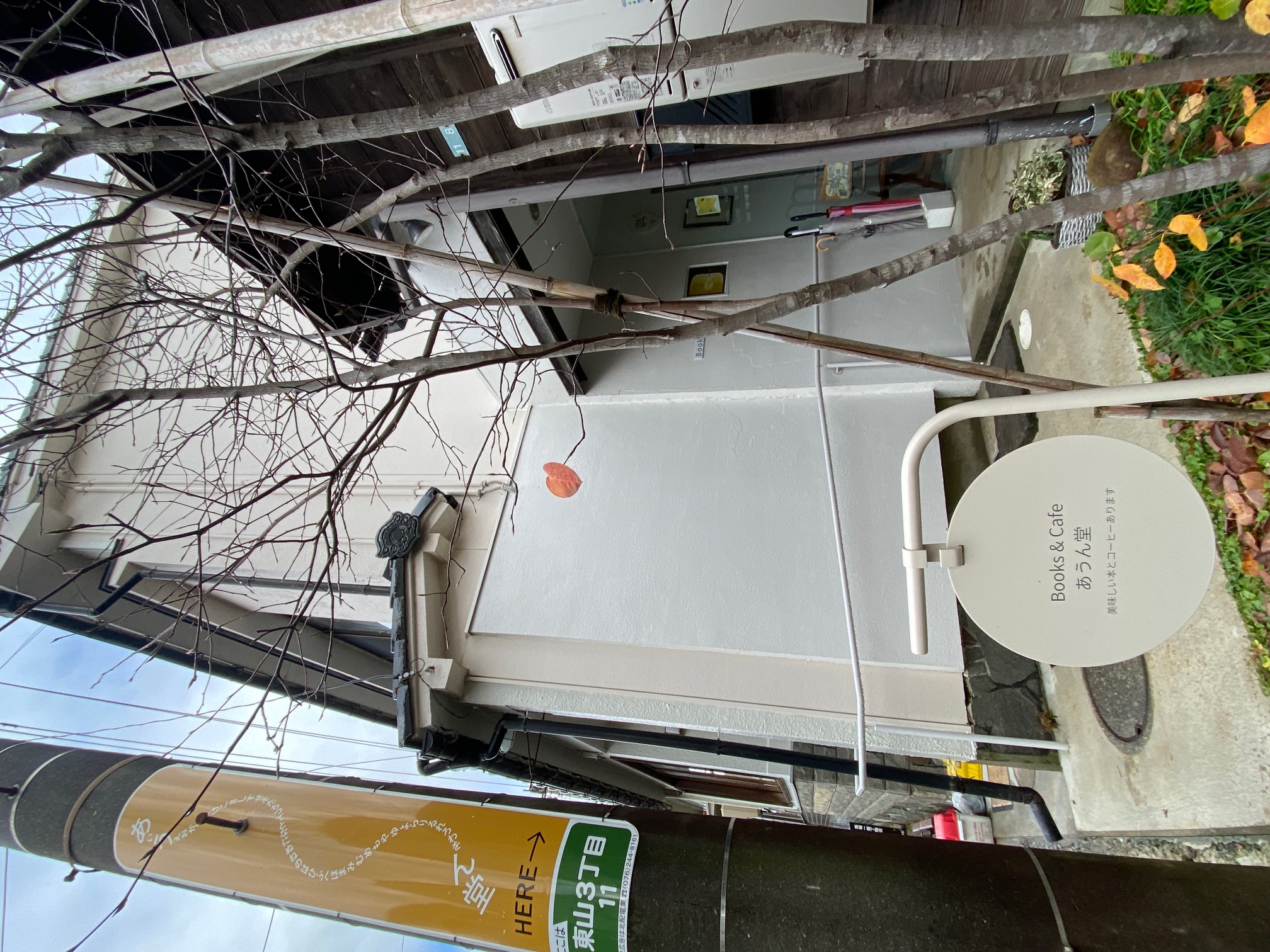 259/1095 ＊最後の一葉（12月11日）