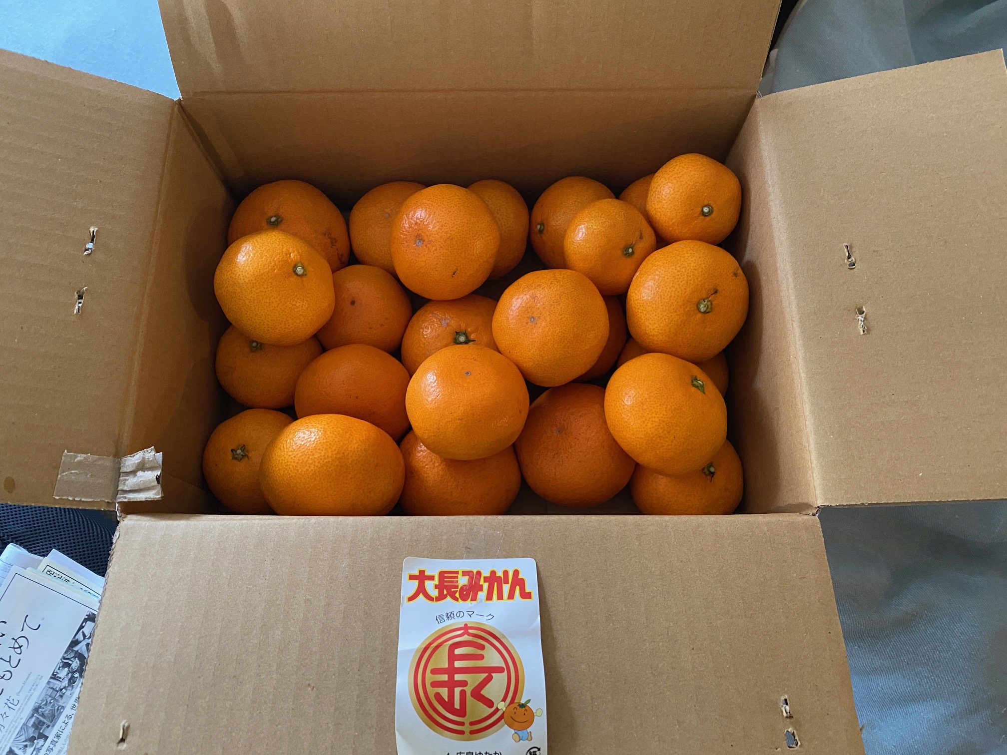 625/1095 ＊瀬戸内のみかん（12月12日）