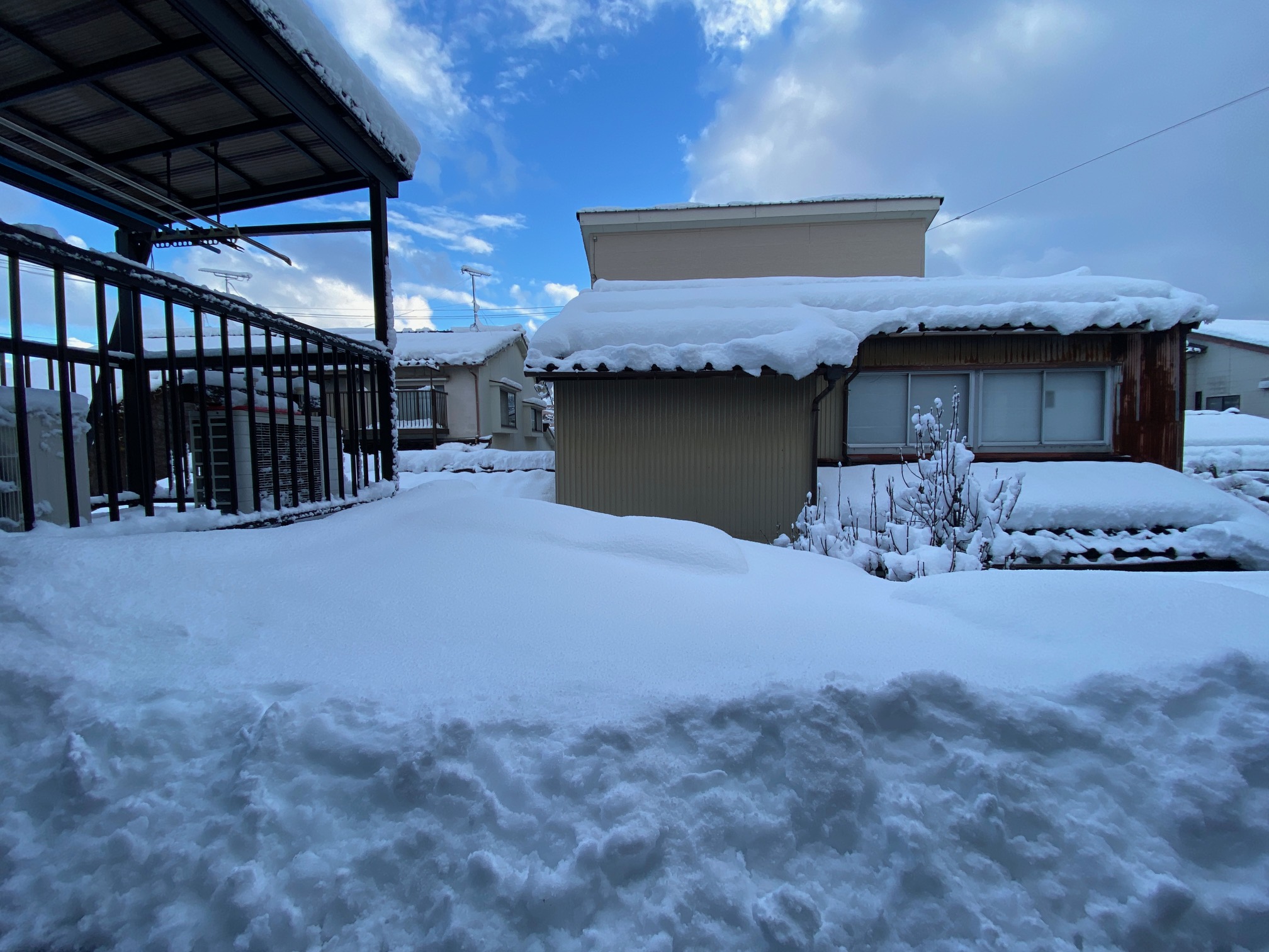 647/1095 *雪景色2(1月3日)