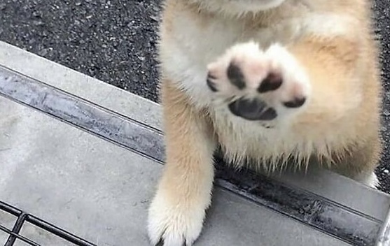 商品の発送について