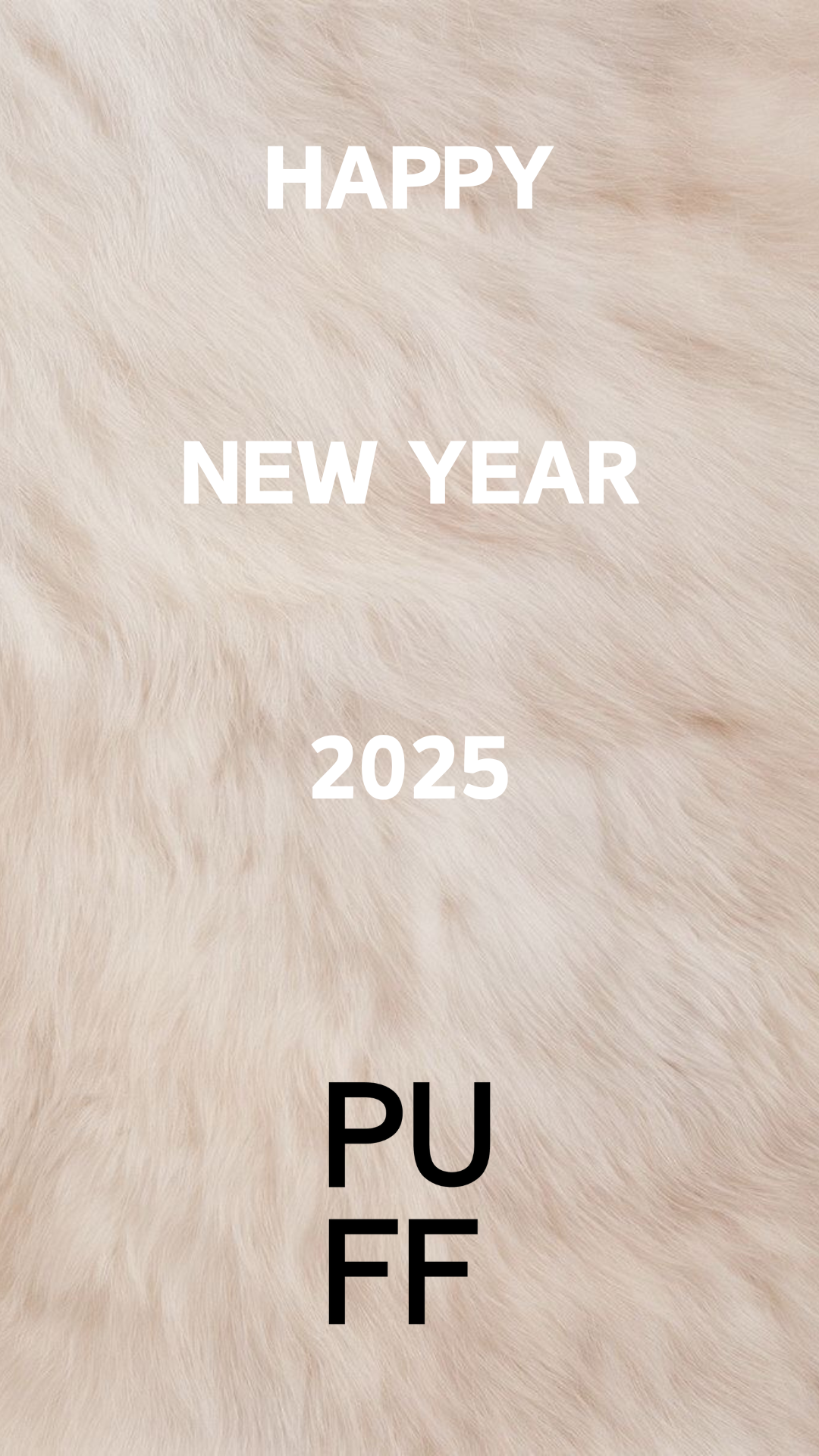HAPPY NEW YEAR! 2025!