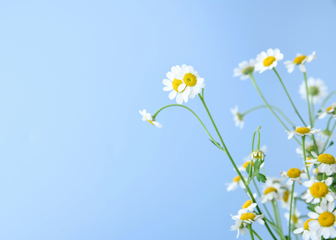 HAPPY FUSOSHA STORE サイトをオープンしました