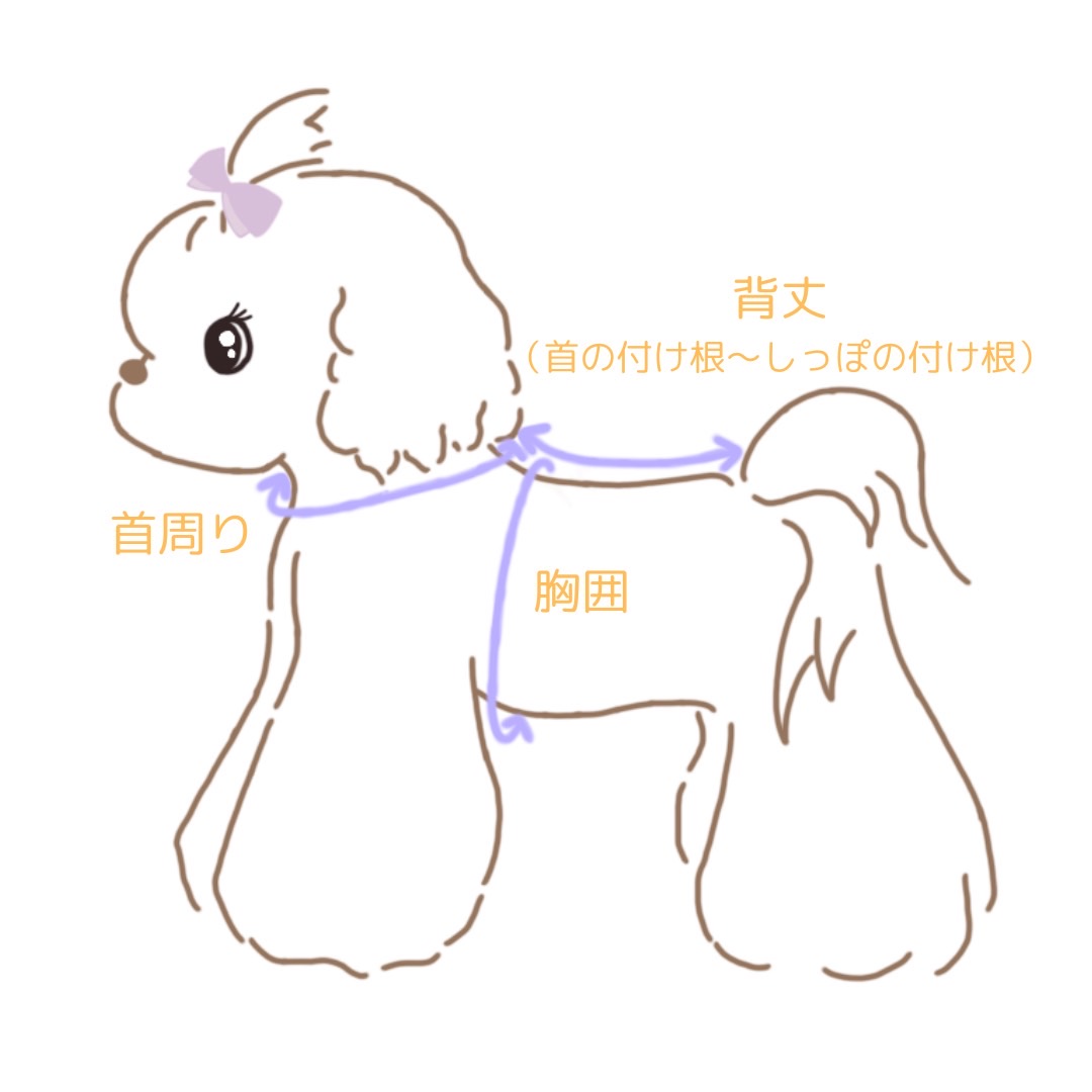 🐾ペットさんのサイズの測り方🐾