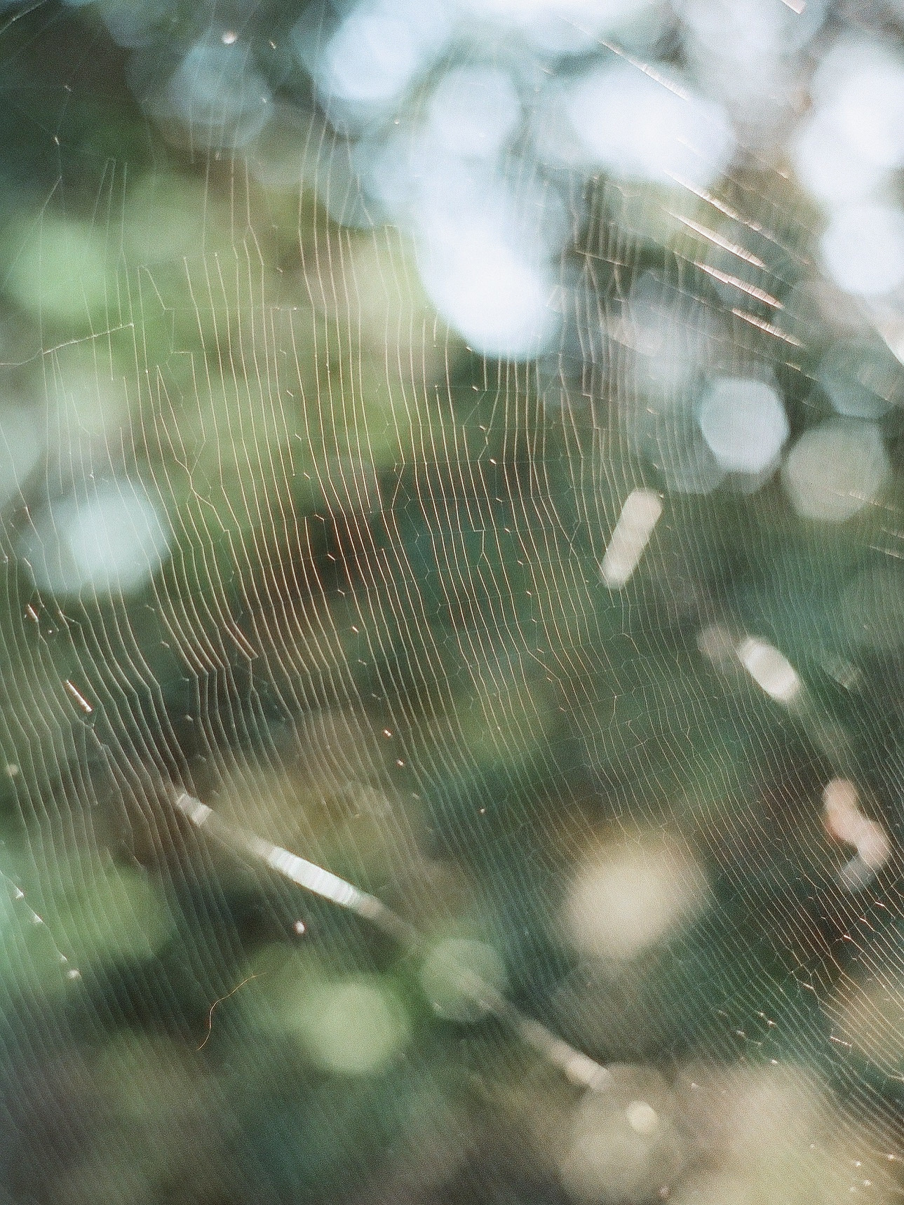 [ nead移転のお知らせ ]