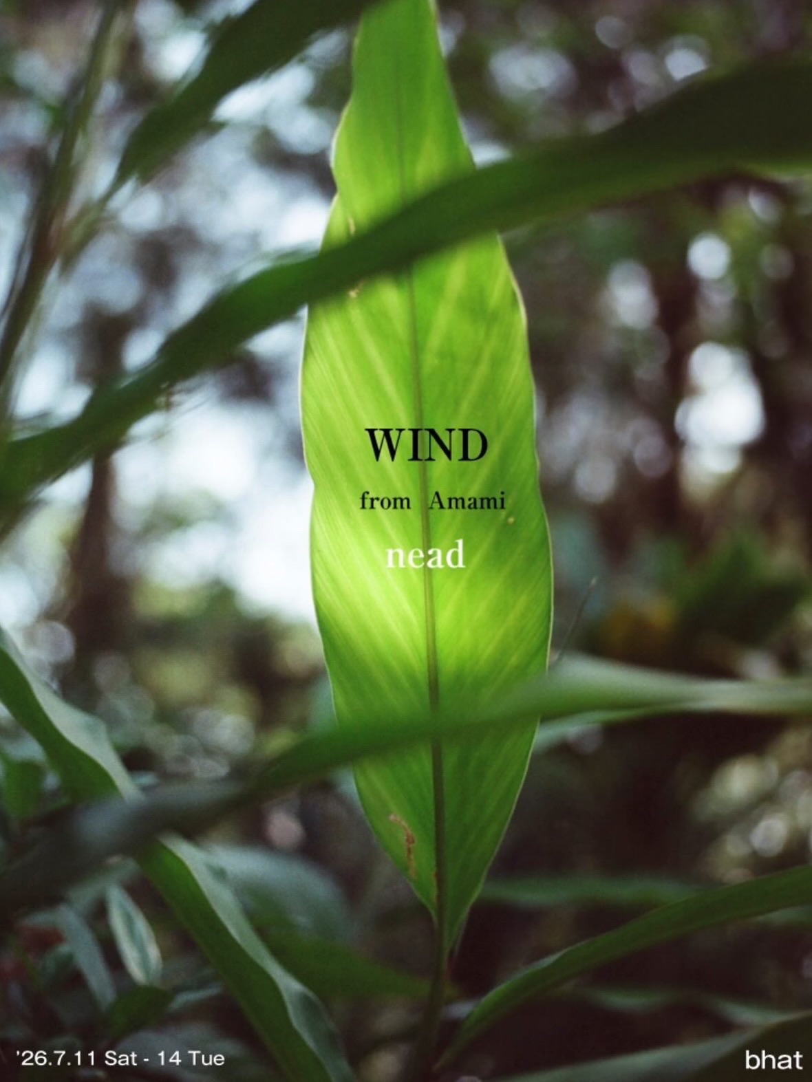 【イベント出店のお知らせ】WIND from Amami @ 岩手bhat