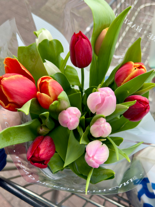 Junkoさんからのメッセージ