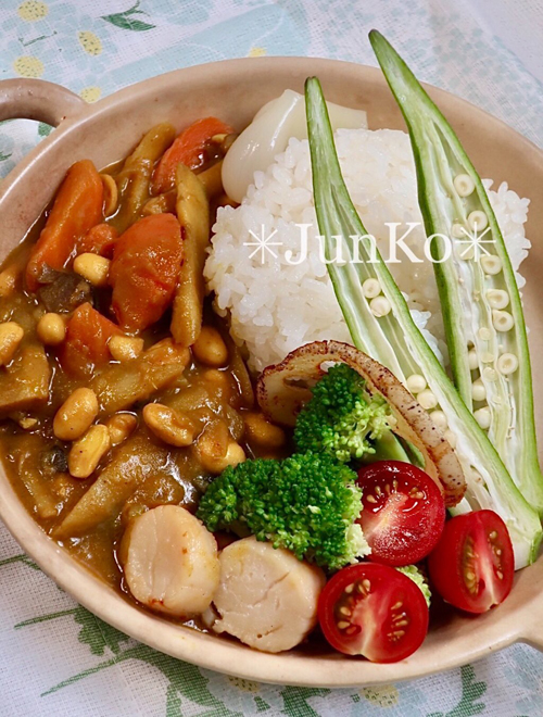 鉄分補給カレー