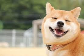 2018年　始動！！