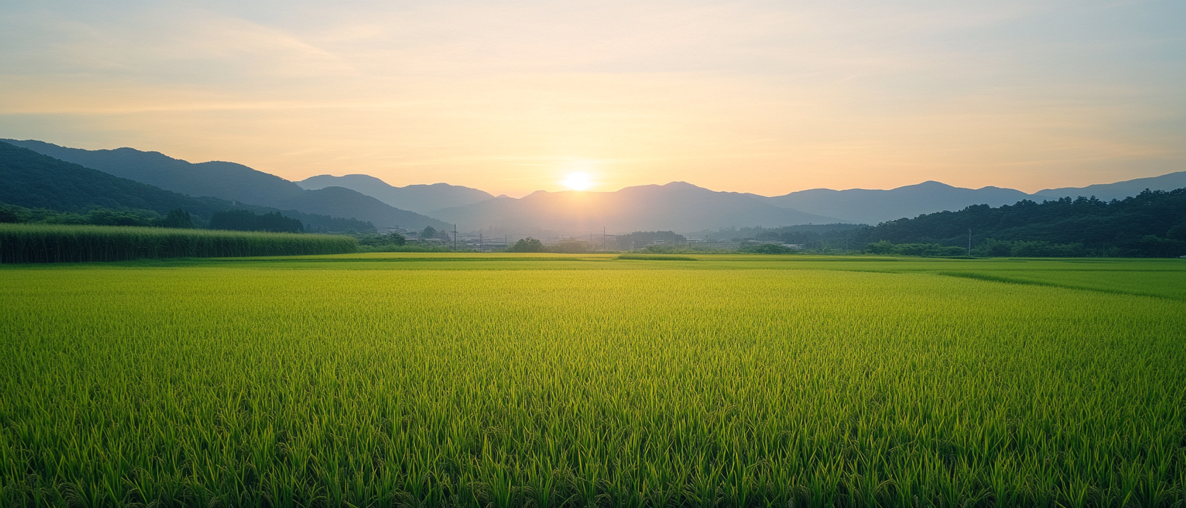 “髪の機嫌がいい日”が人生を変える ― その小さな幸せが、未来をつくる。
