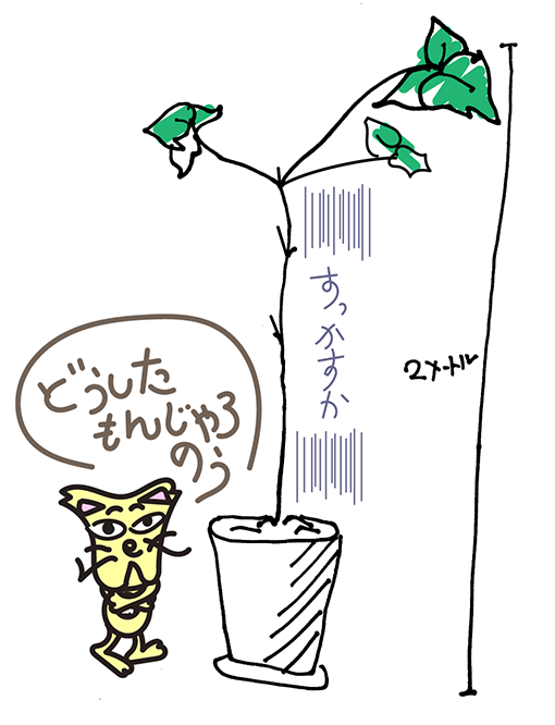 【デコやんあれこれ歳時記♯5】「デコやん　ウンベラータの剪定をするの巻」