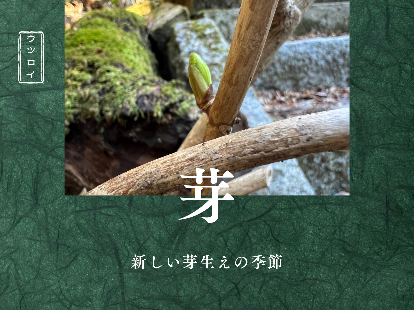 新しい芽生えの季節、気持ちの「発端」に要注意