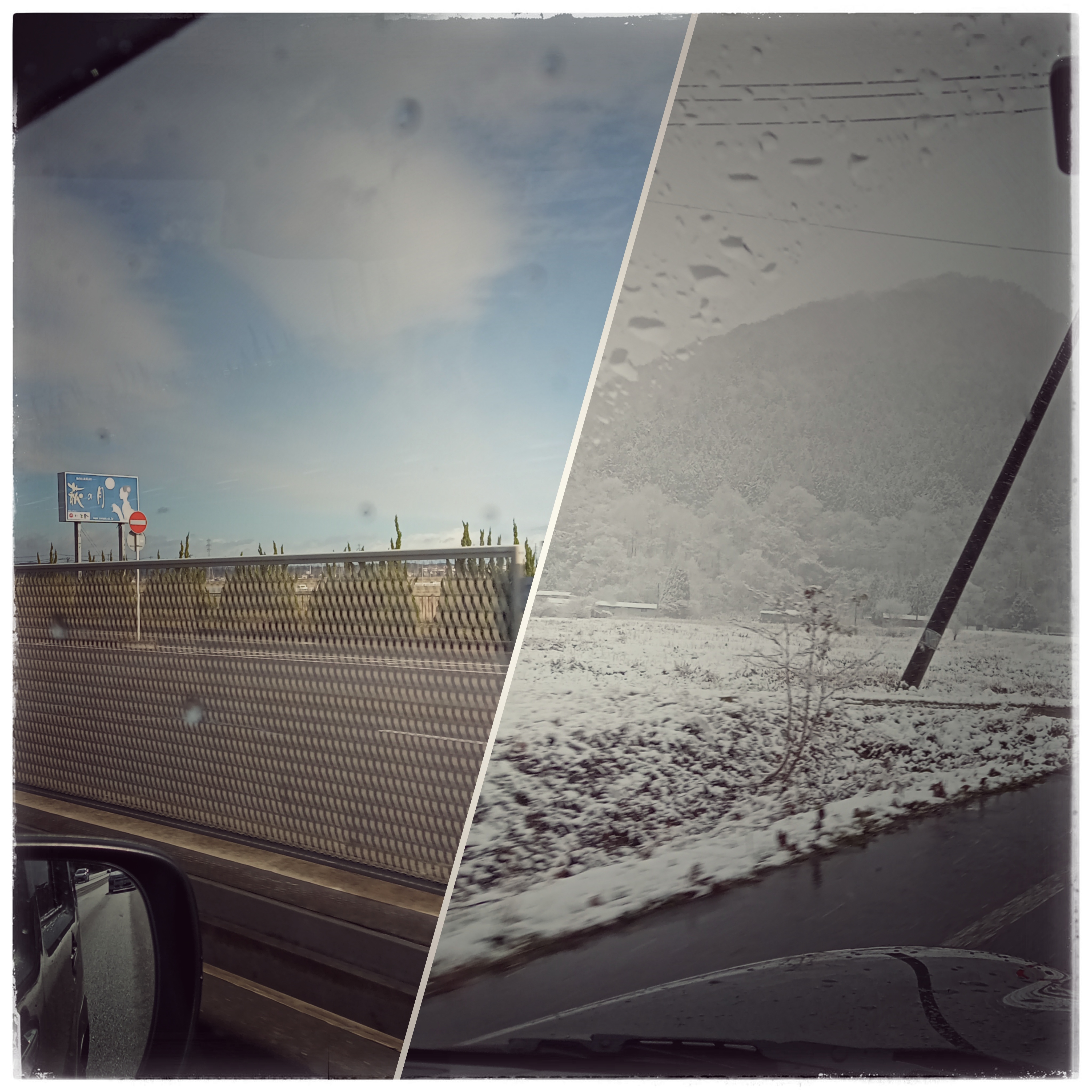 病み上がりの買い付け