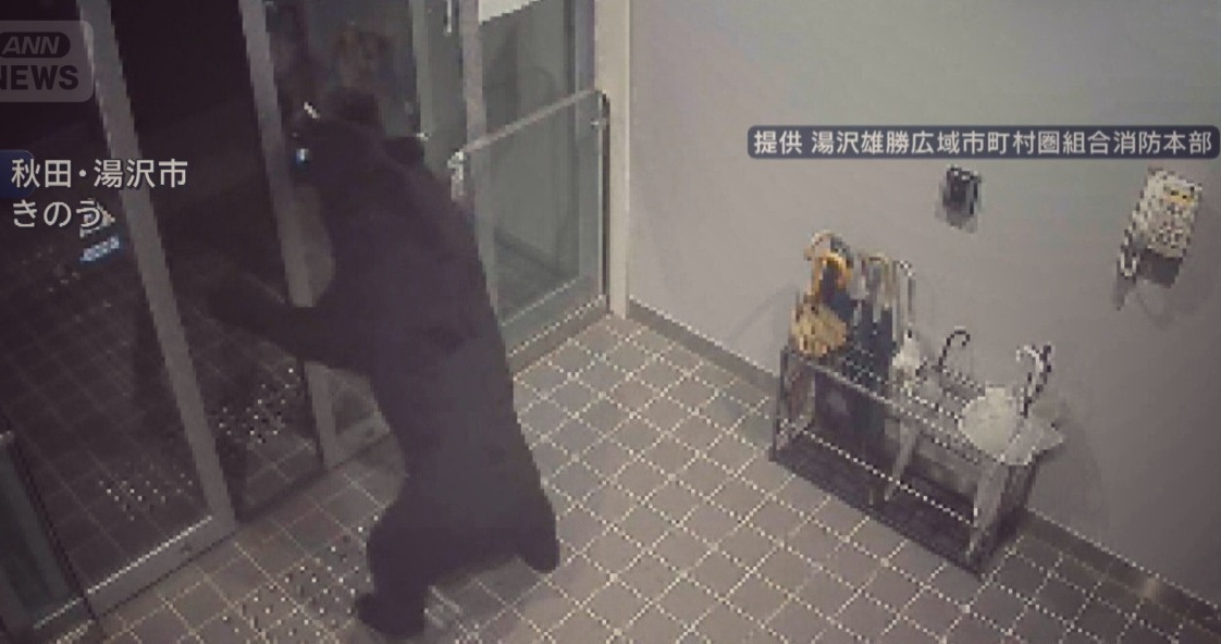 くまった世の中になりました。