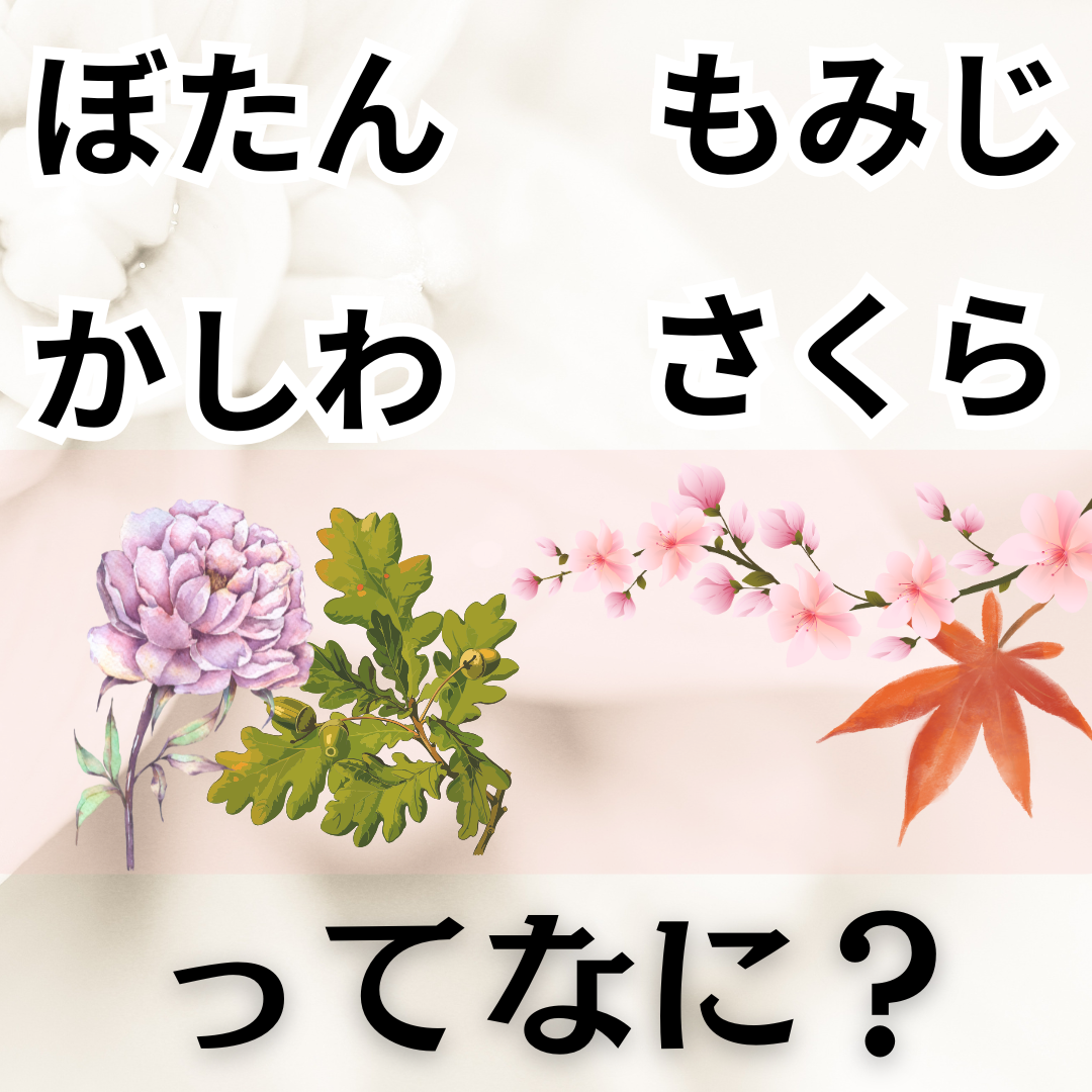 ぼたん もみじ かしわ さくら ...ってなに？