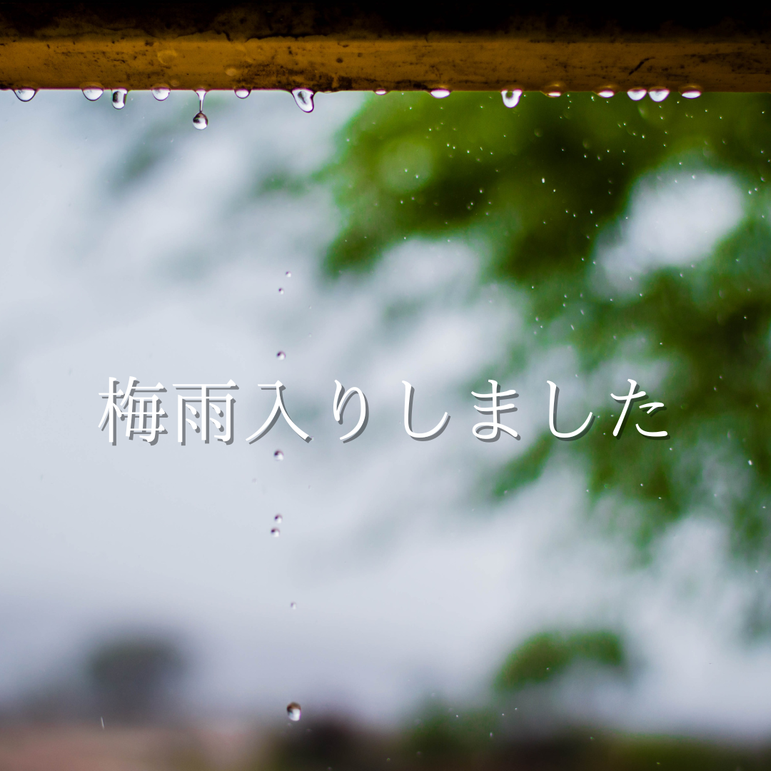 今年の梅雨☔️