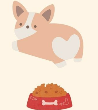 食い付きが良いドッグフードとは？