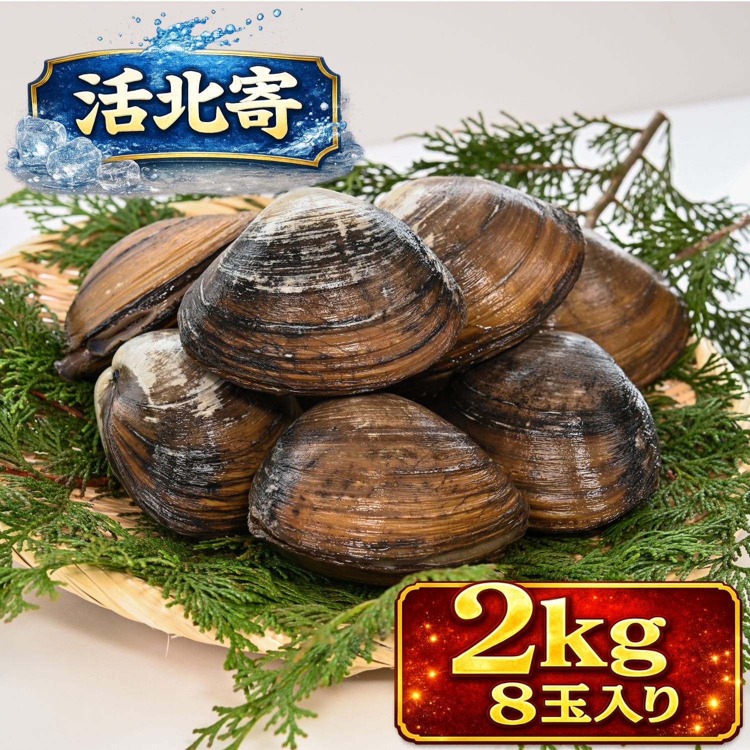 【期間限定】今が旬！活北寄（ほっき貝）を産地直送｜落石の春の味覚