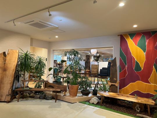 🌳はじめまして🌳