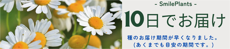 種の納期を改善しました。