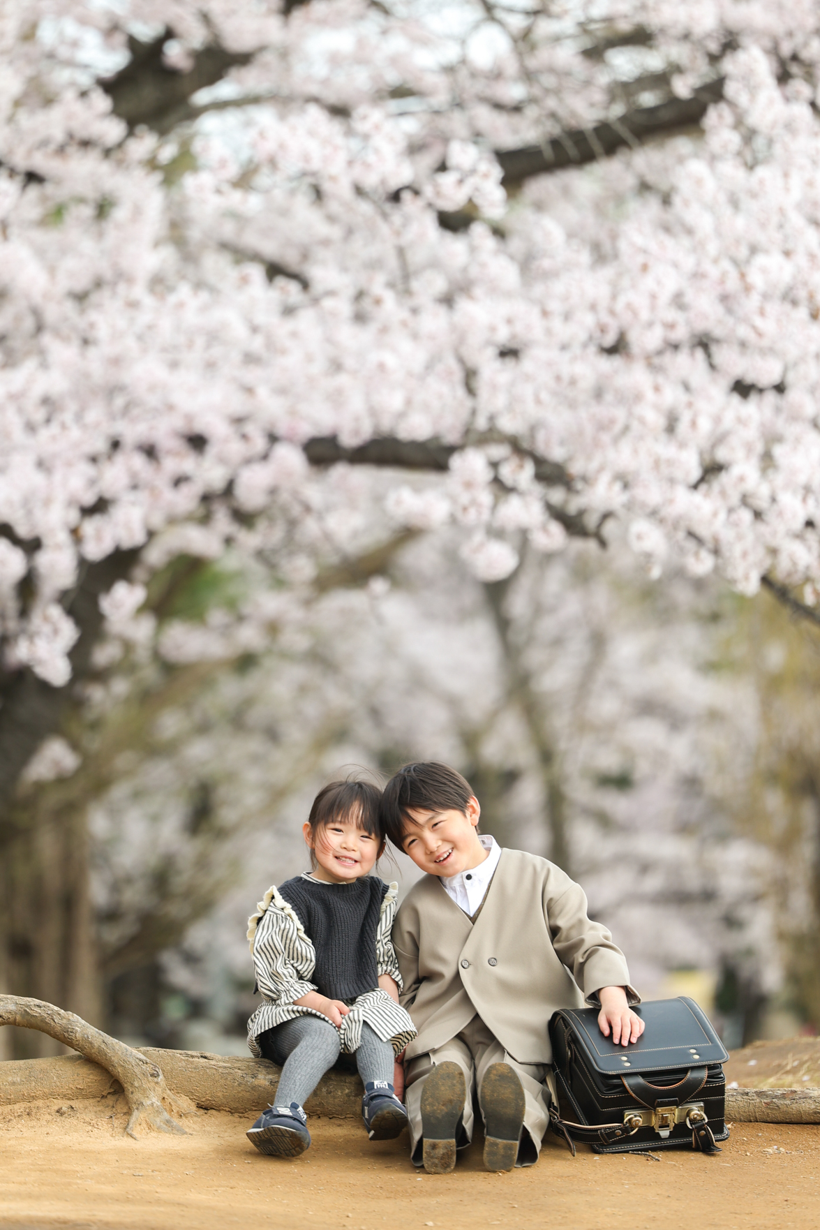 250426　桜撮影会
