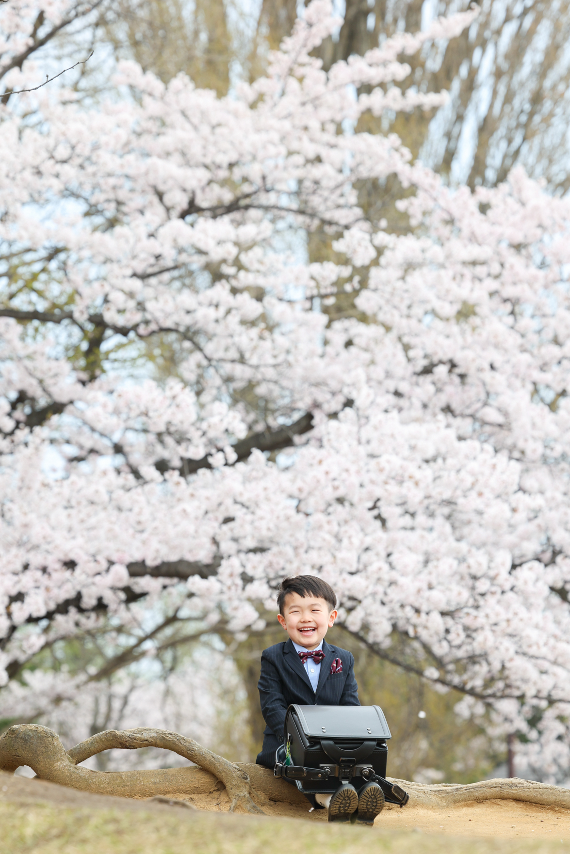 250427　桜撮影会