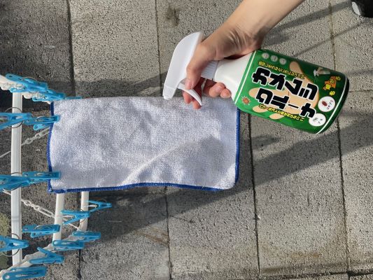 2025年夏、カメムシ大量発生の予測！