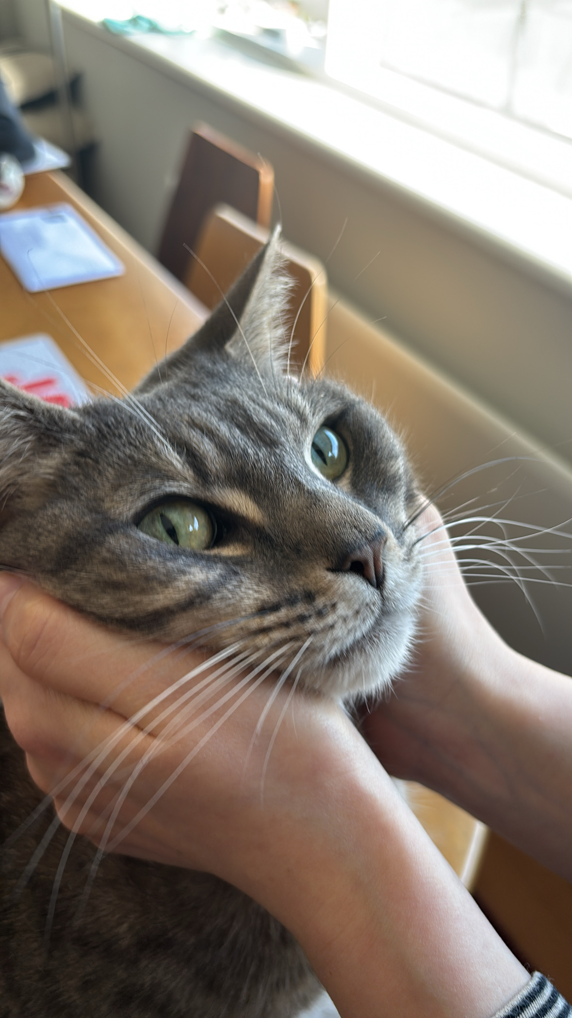 (近況報告)思わぬトラブルが…