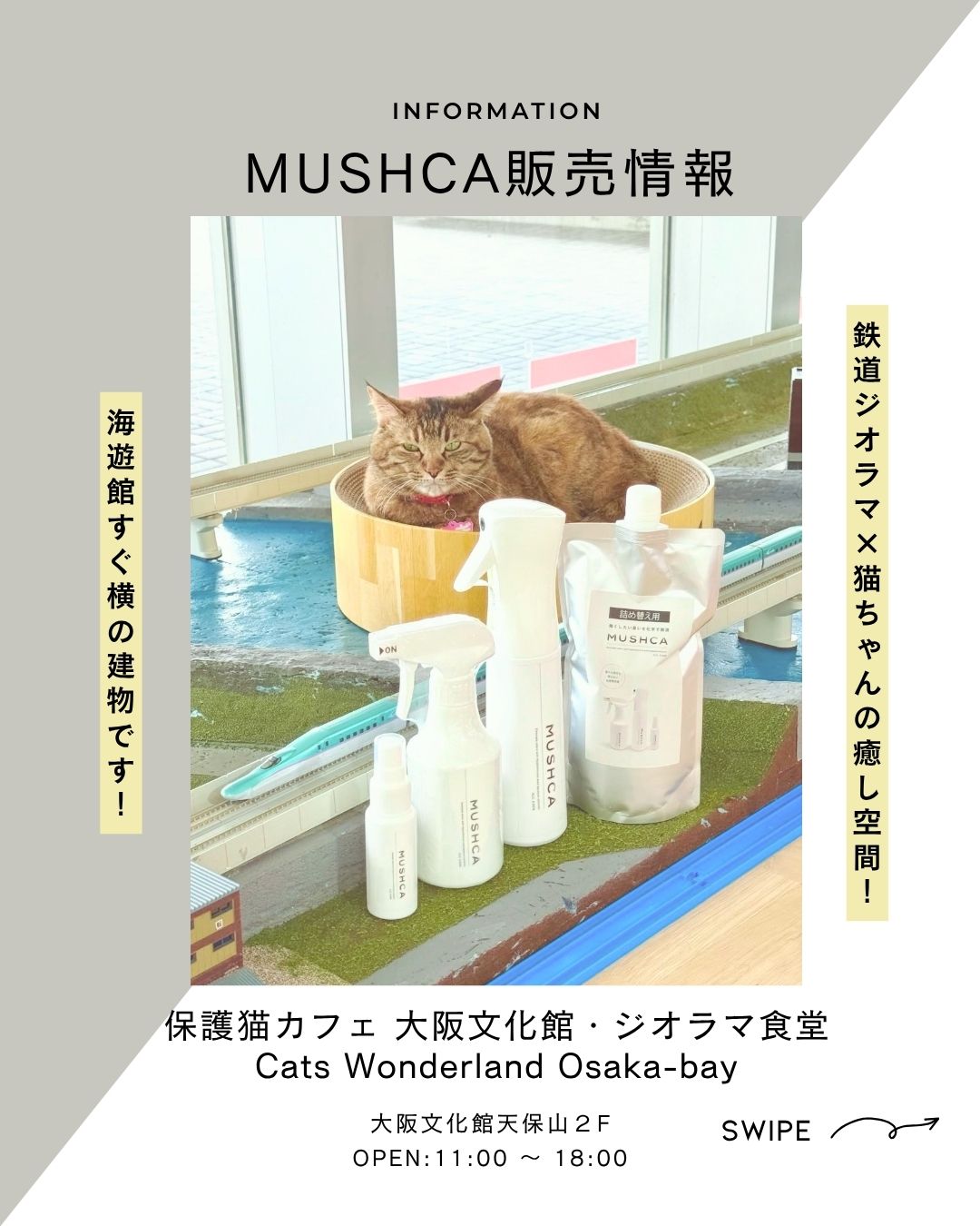 保護猫カフェ 大阪文化館・ジオラマ食堂でもMUSHCAをご購入いただけるようになりました