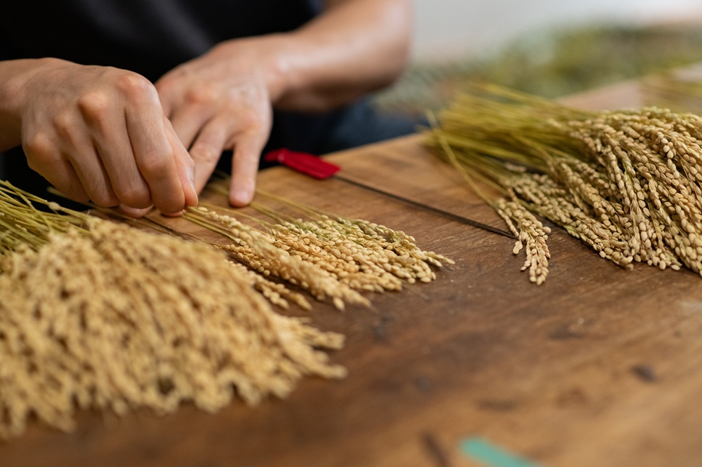 【2026年2月】販売再開のお知らせ