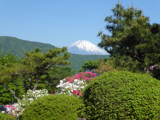 身近にある和ハーブ