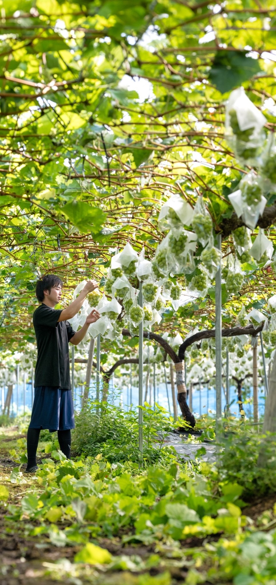 【続き】雨が降ることの恐怖