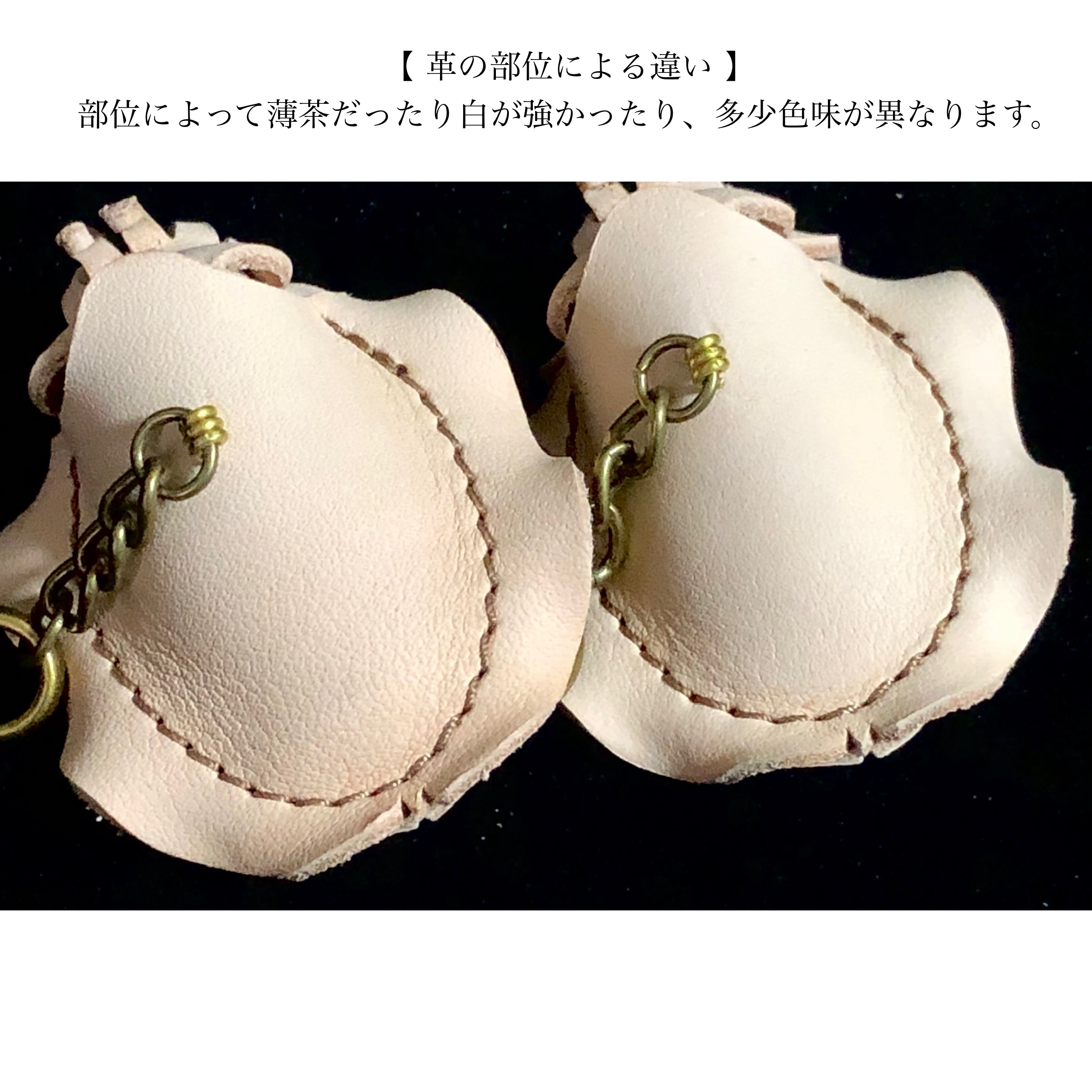 コウイカのレザーキーホルダー（立体レザー標本）をご購入いただいたお客様へ