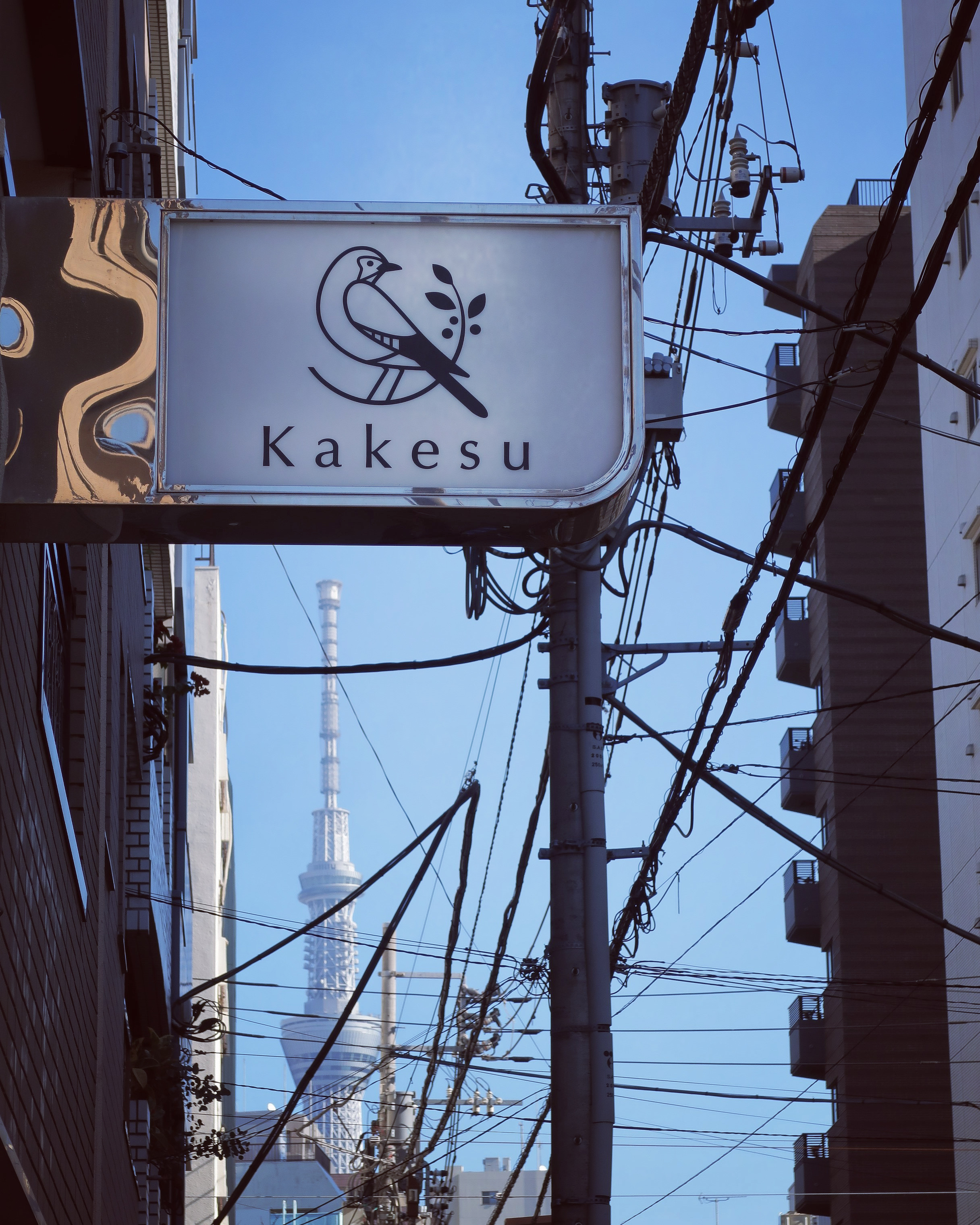 本年もありがとうございました