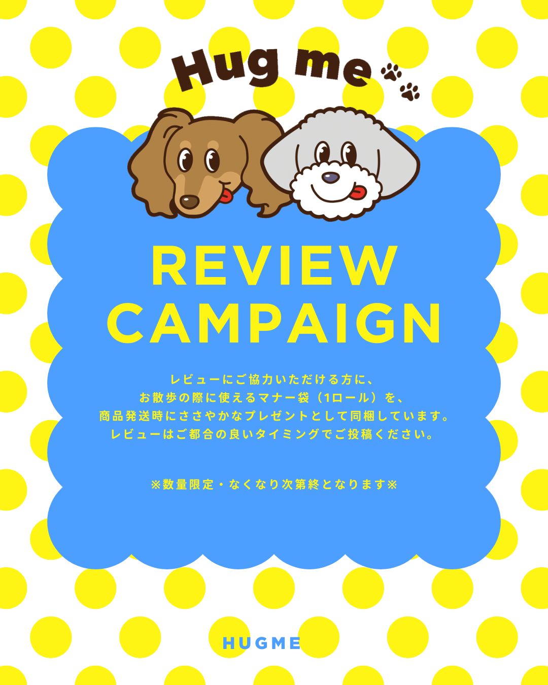 レビューキャンペーンのお知らせ📢🐶