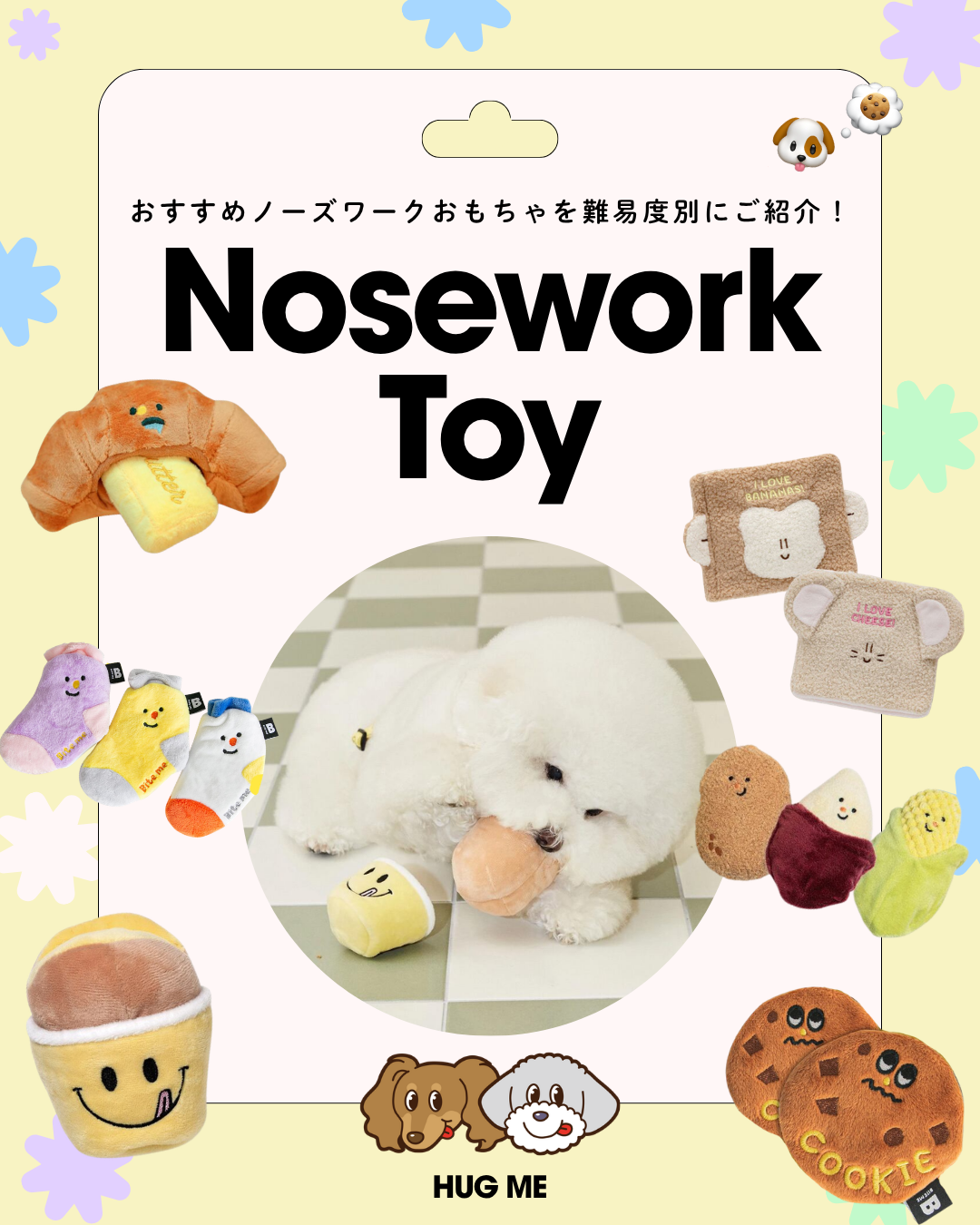 おすすめノーズワークトイを難易度別にご紹介🐶