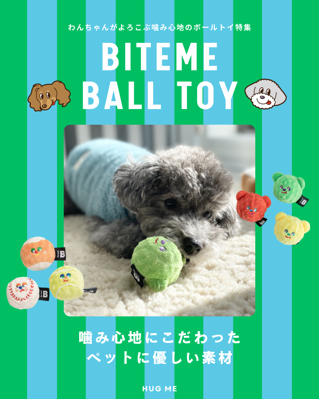 BITE MEボールトイ特集🐶🎾