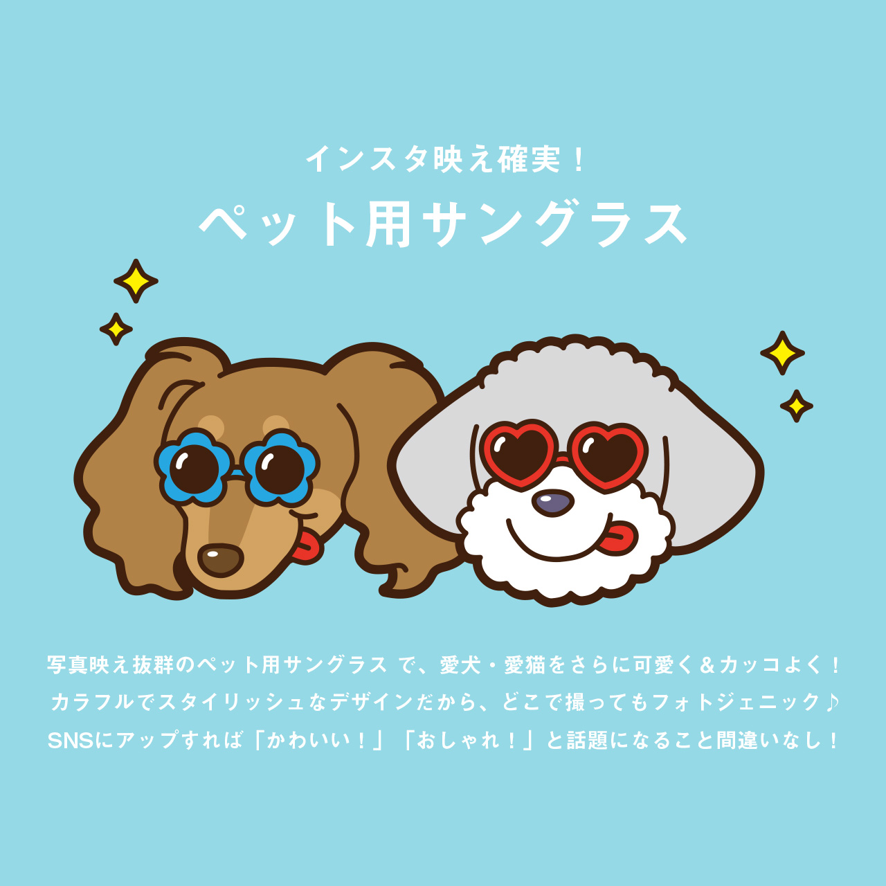 ★新作入荷★コレさえあれば写真映え間違いなし！？