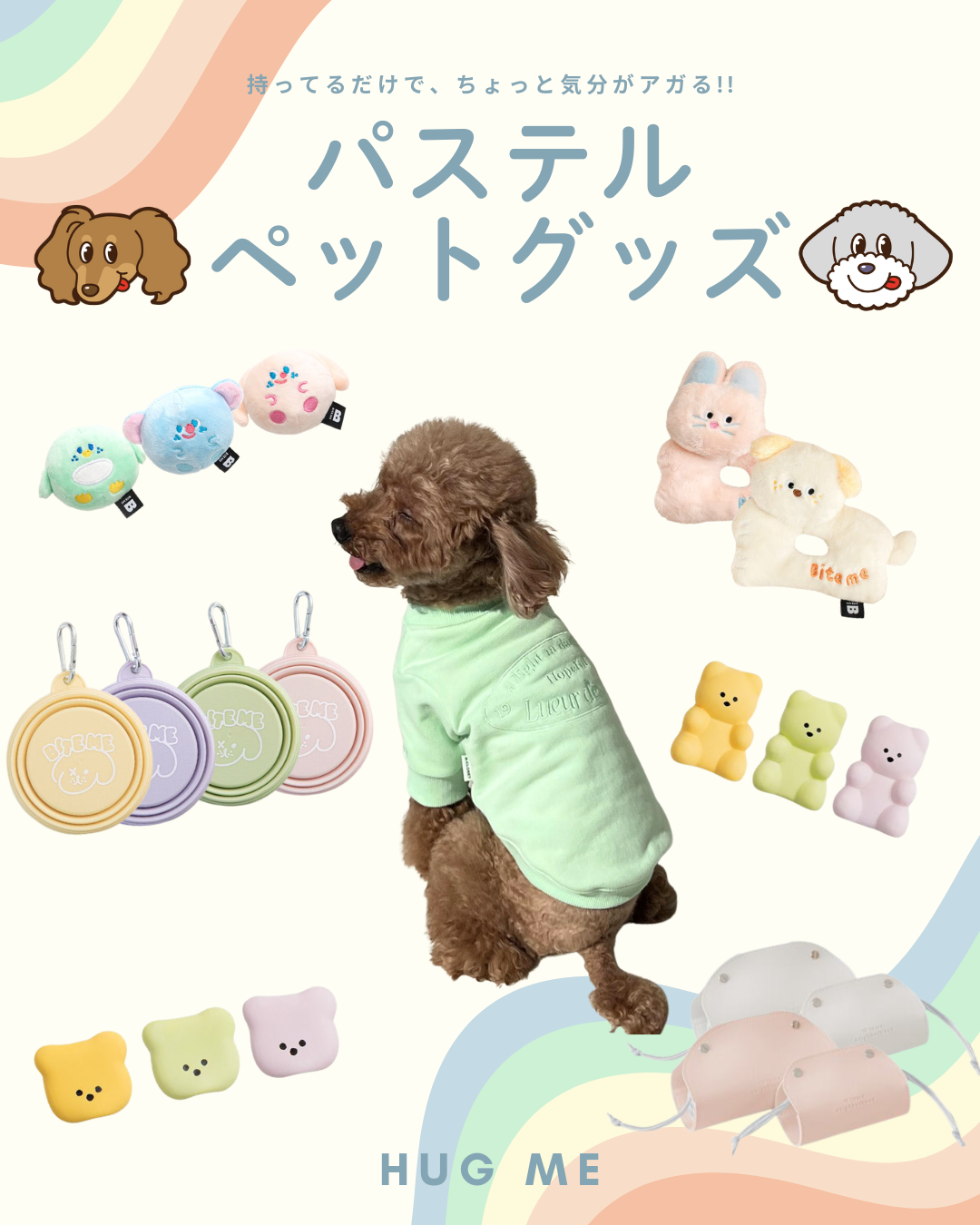 Hug meパステルペットグッズ🐶🌷