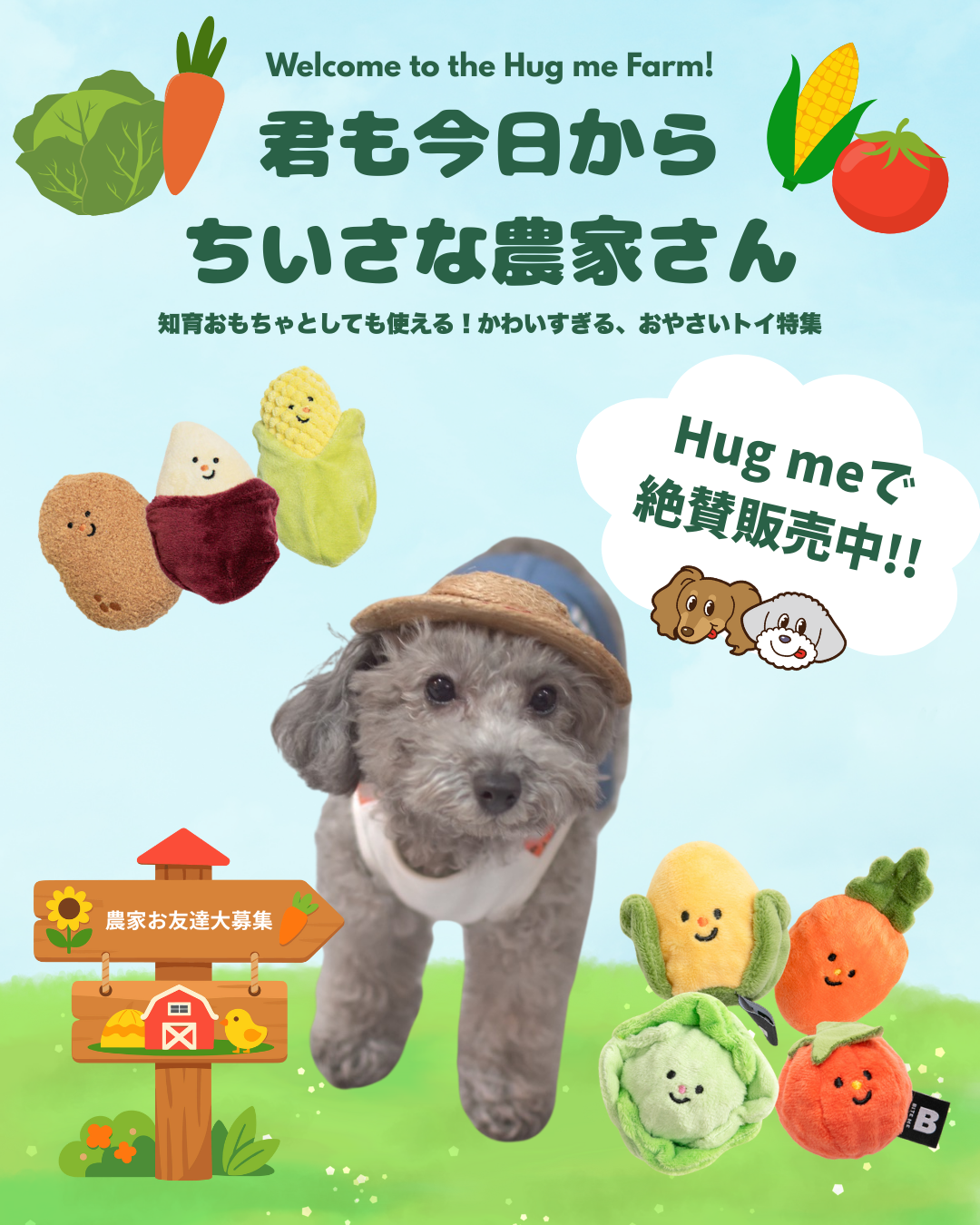 君も今日から小さな農家さん🧑‍🌾🐾野菜のおもちゃ特集🌱