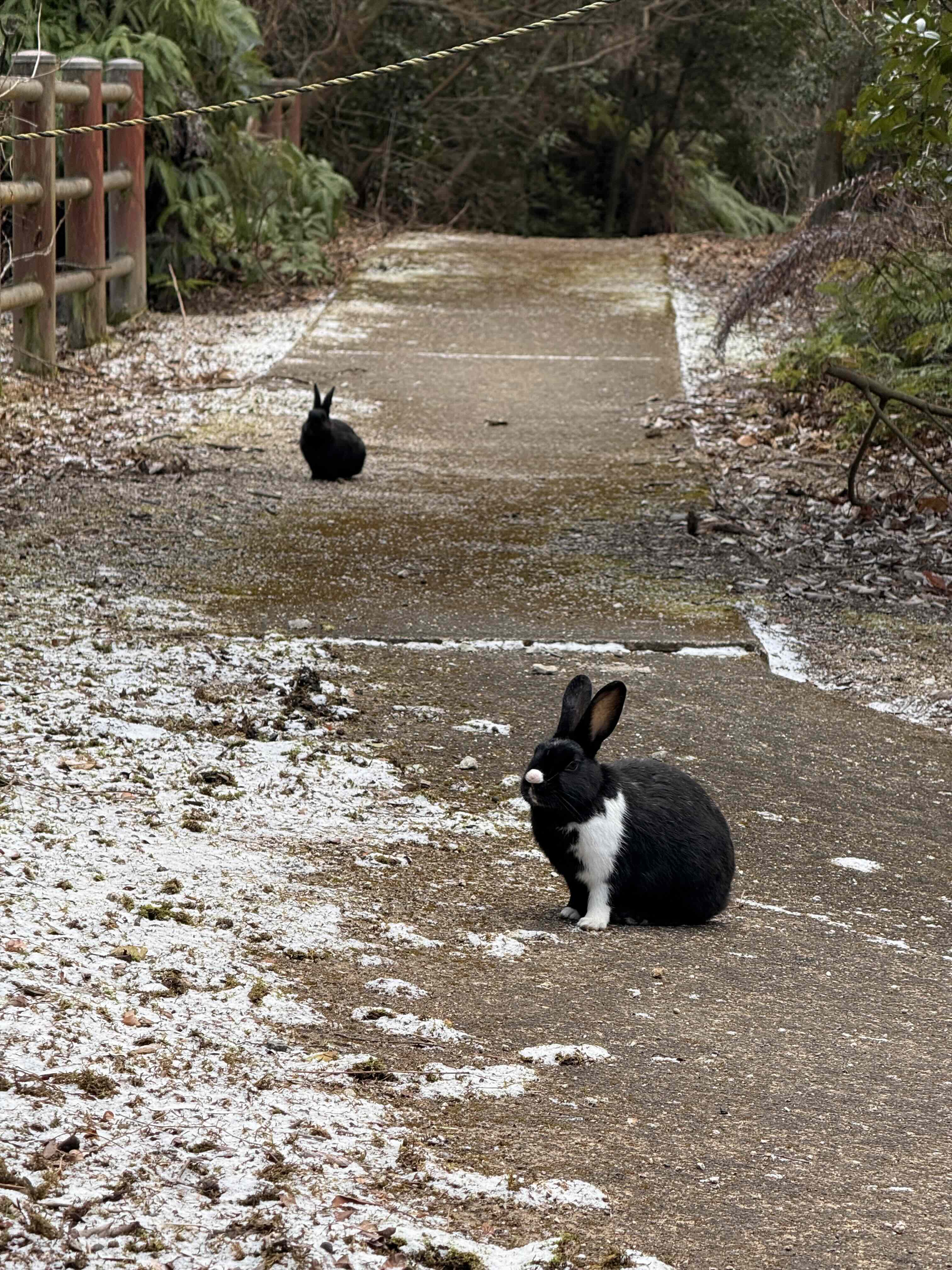 12月の焙煎日のお知らせ