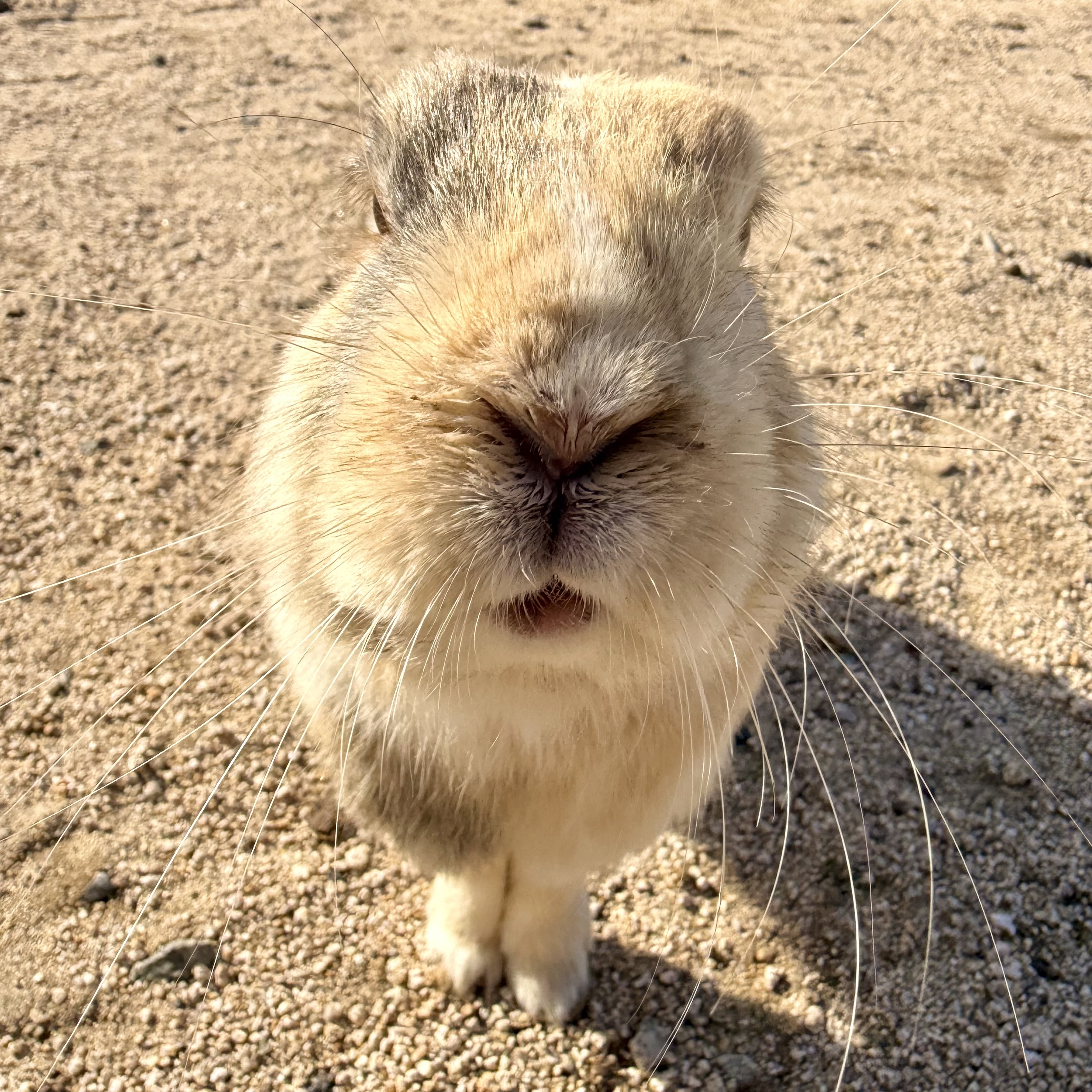 2月の焙煎日のお知らせ