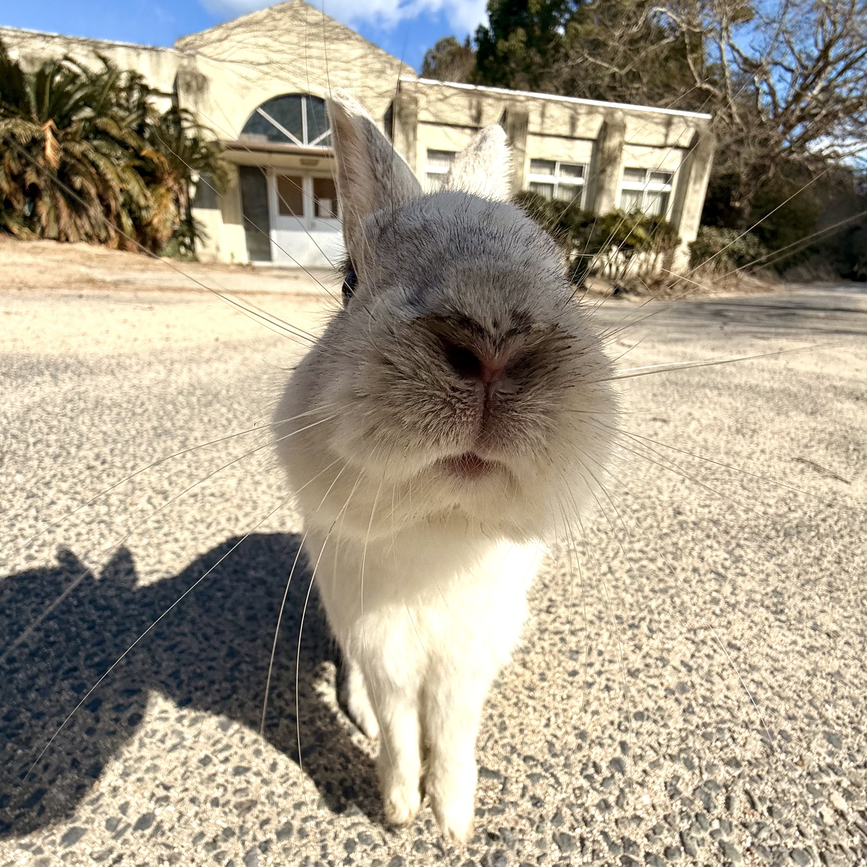 9月の焙煎日のお知らせ