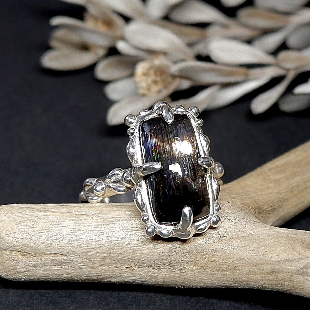 撮影し直しました