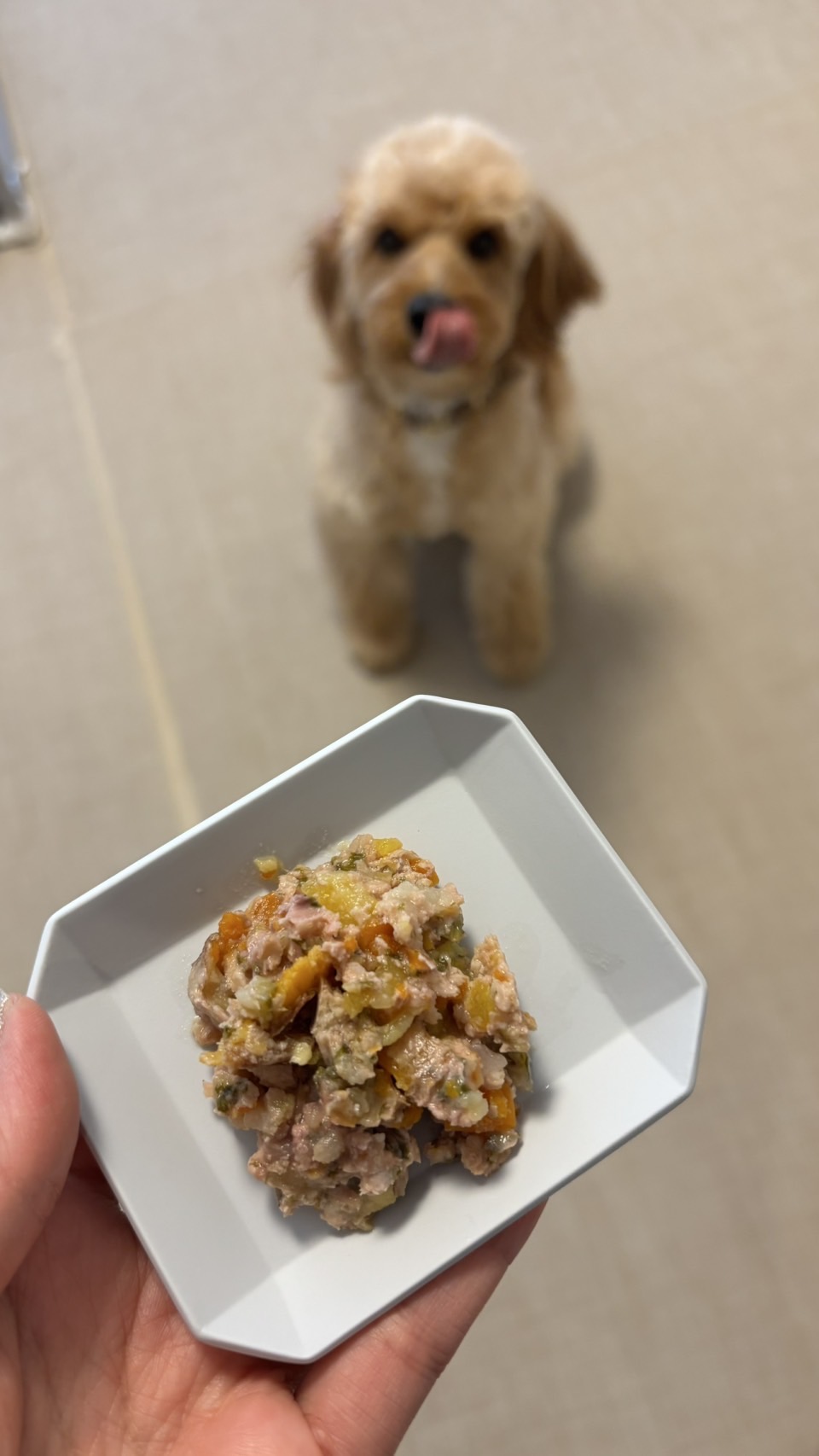 豚肉のごはんリニューアル！