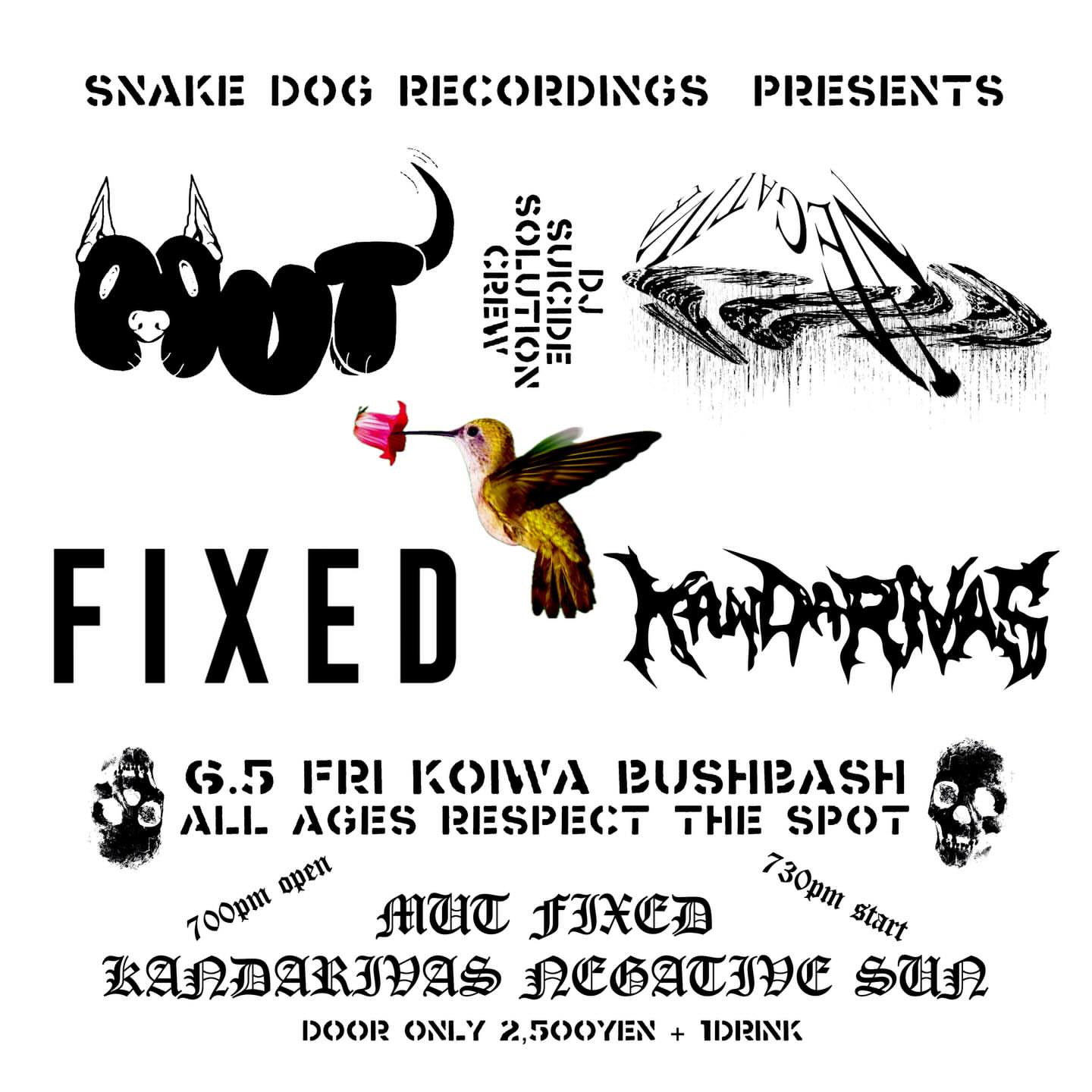 FIXEDライブ情報