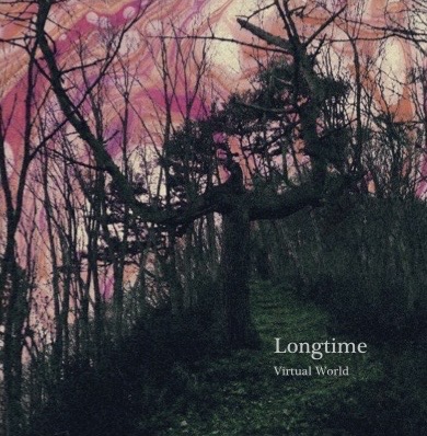入荷 Longtime / Vrtual World