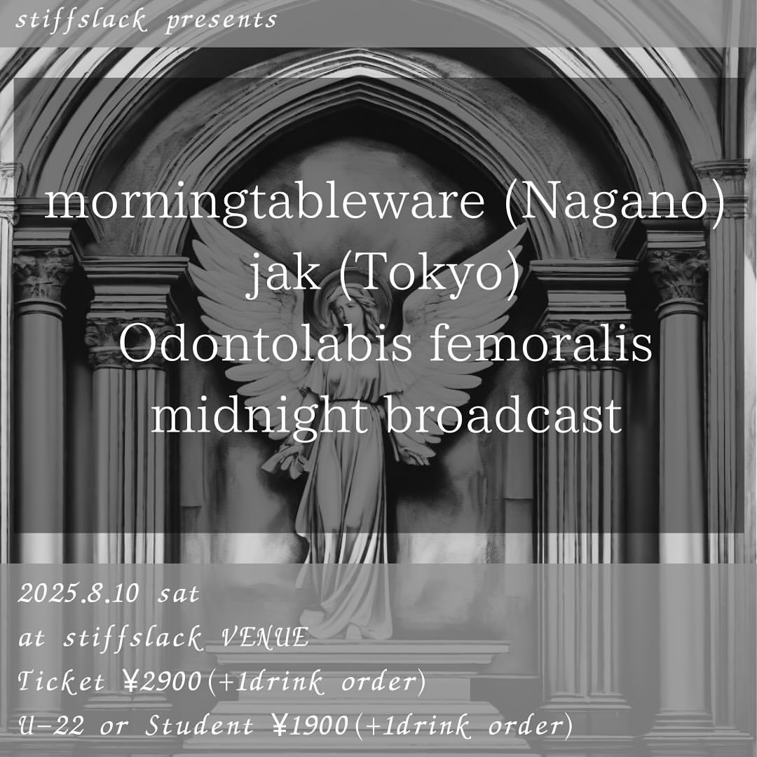 morningtablewareライブ情報