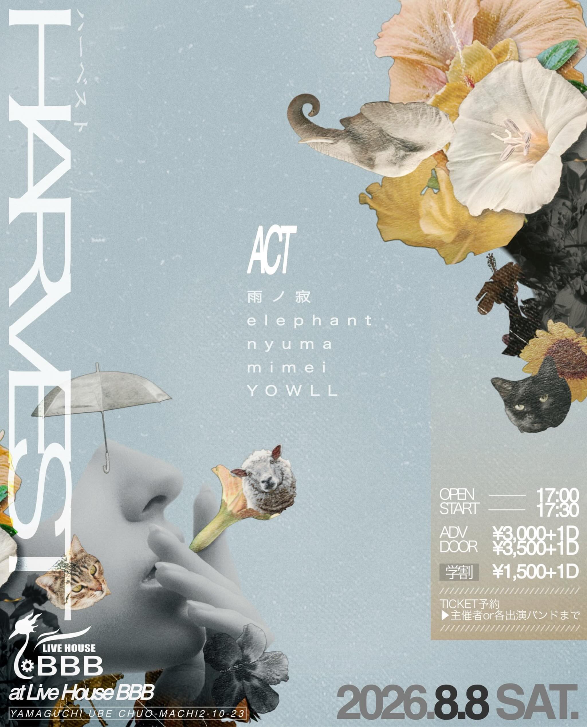 elephantライブ情報